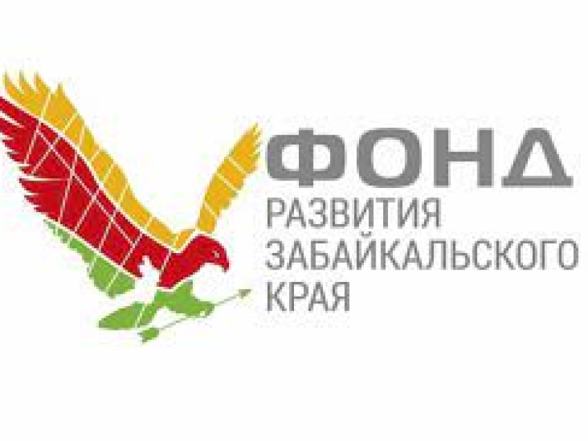 Фонд развития Забайкальского края расскажет о работе в 2020 году
